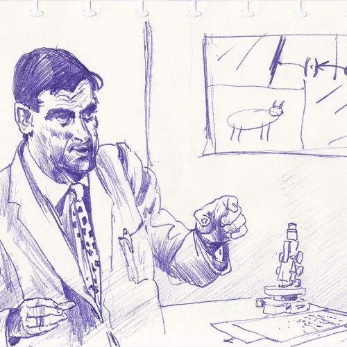 Edward Teller, Labor