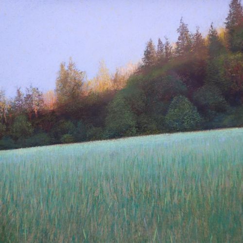 Pastellzeichnung Fotorealismus, Waldrand, früher Morgen